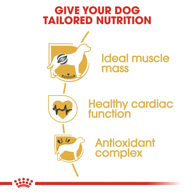 Diagram of a dog's health benefits with text 'Give your dog tailored nutrition' on a white background.