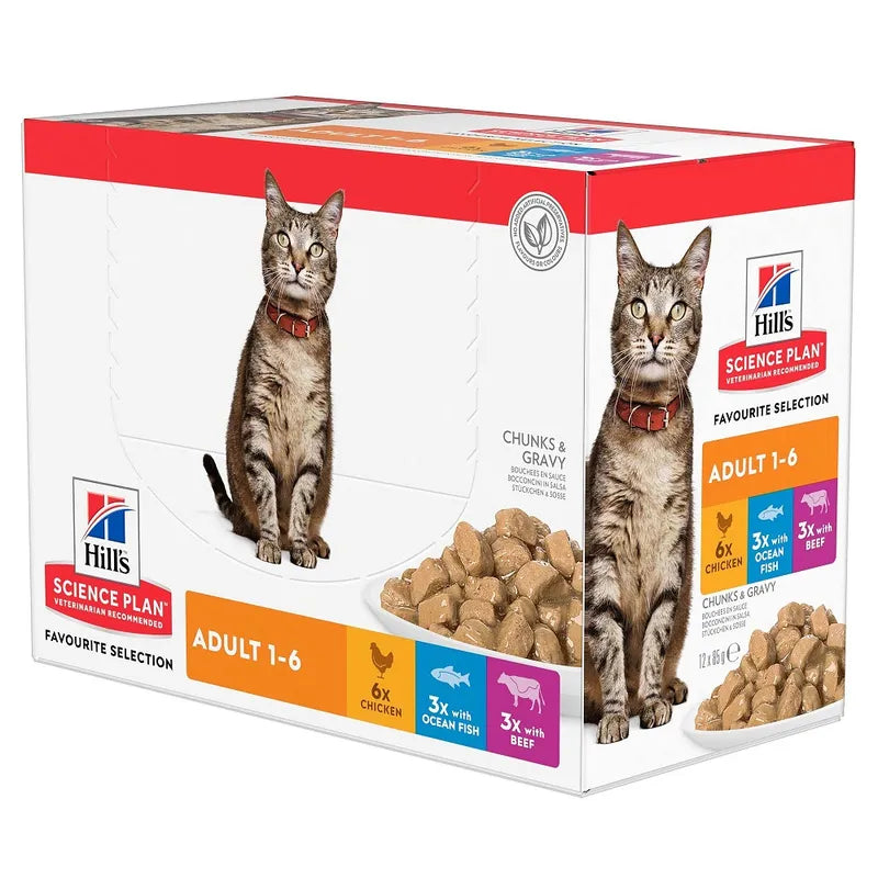 Hills Science Plan cat food packaging with two cats on a white background