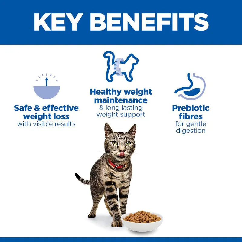 Cat with a bowl of food and key benefits text on a blue and white background
