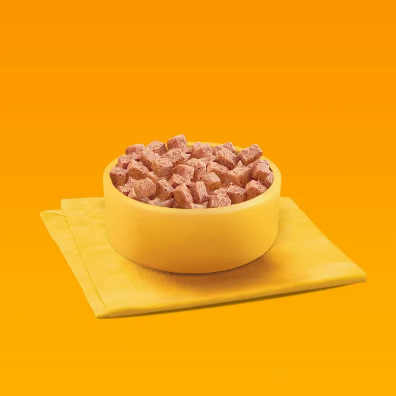 Yellow bowl filled with pink dog food on a yellow napkin against an orange background