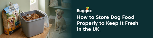 How to Store Dog Food Properly to Keep It Fresh in the UK