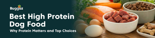 Best High Protein Dog Food: Why Protein Matters &amp; Top Choices