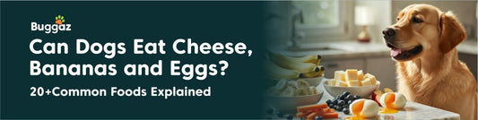 Can Dogs Eat Cheese, Bananas & Eggs? 20+ Common Foods Explained