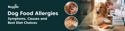 Dog Food Allergies: Symptoms, Causes and Best Diet Choices