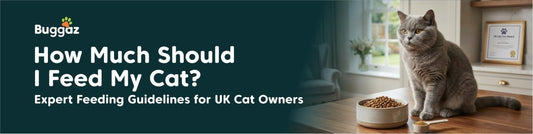 How Much Should I Feed My Cat? Expert Feeding Guidelines for UK Cat Owners