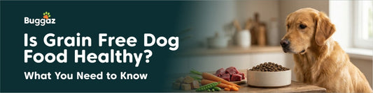 Is Grain-Free Dog Food Healthy? What You Need to Know
