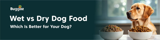 Wet vs Dry Dog Food: Which Is Better for Your Dog?