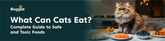What Can Cats Eat? Complete Guide to Safe and Toxic Foods