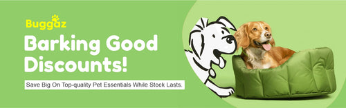 Cat Food | Buggaz | UK