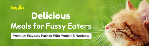 Premium Nutrition From Trusted Dog Food Brands