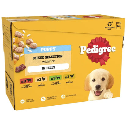 Box of Pedigree Puppy Mixed Selection with Rice in Jelly on a white background
