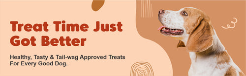 Buggaz Pet Supplies | Organic and Healthy