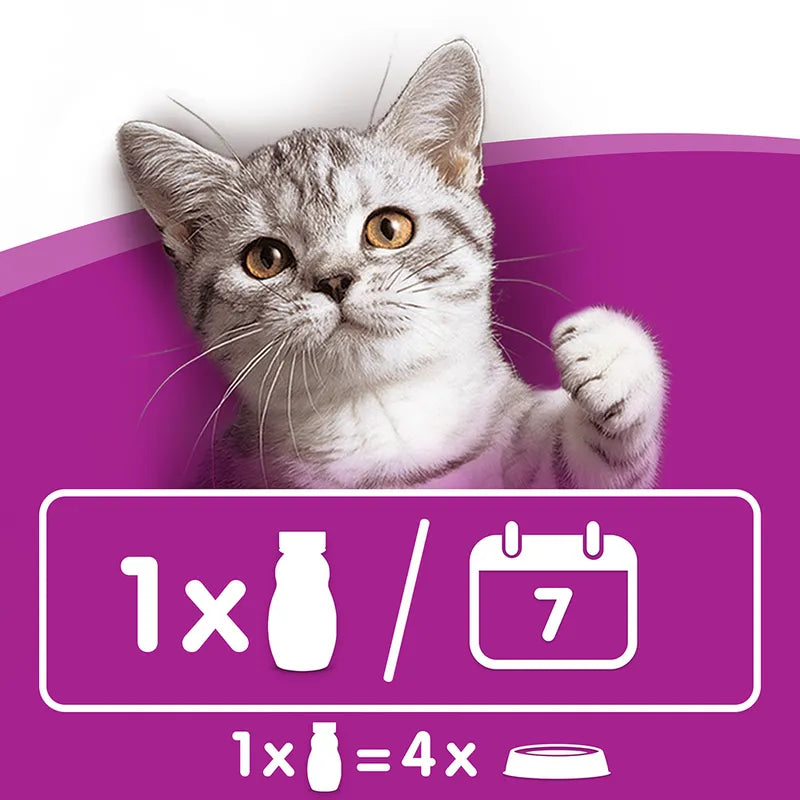 Cat on a purple background with a formula feeding chart