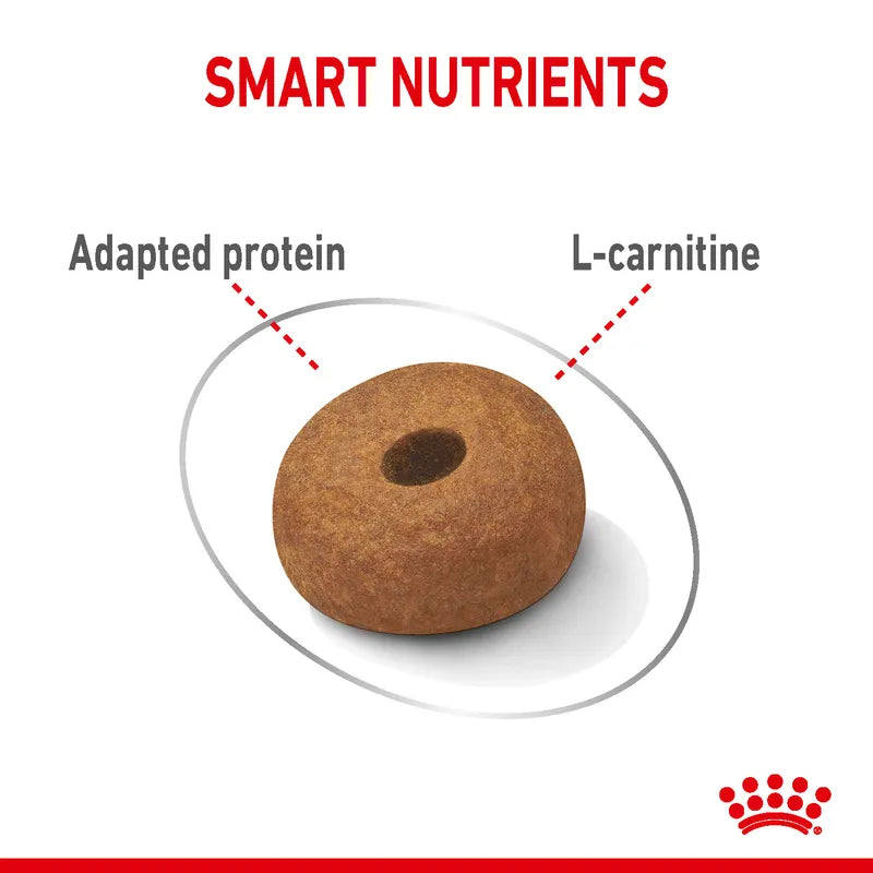 Dog treat with 'Smart Nutrients' text highlighting 'Adapted protein' and 'L-carnitine', branded with a red logo.