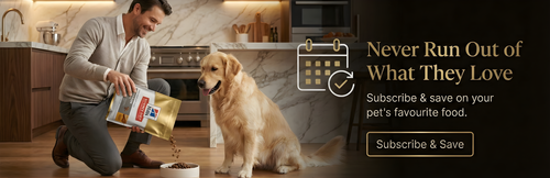 Premium Nutrition From Trusted Dog Food Brands