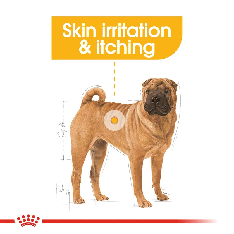 Dog illustration with skin irritation and itching text on a white background