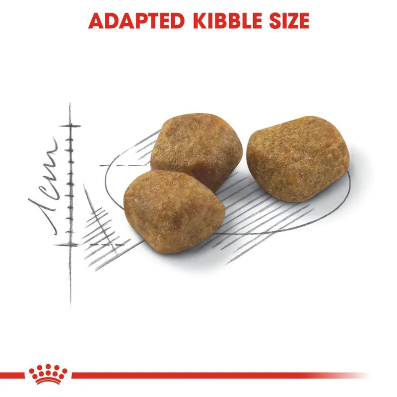 Three pieces of adapted kibble size with a measurement scale and Royal Canin logo.