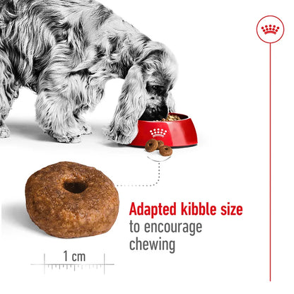 Dog eating from a red bowl with a close-up of kibble and text about adapted kibble size.