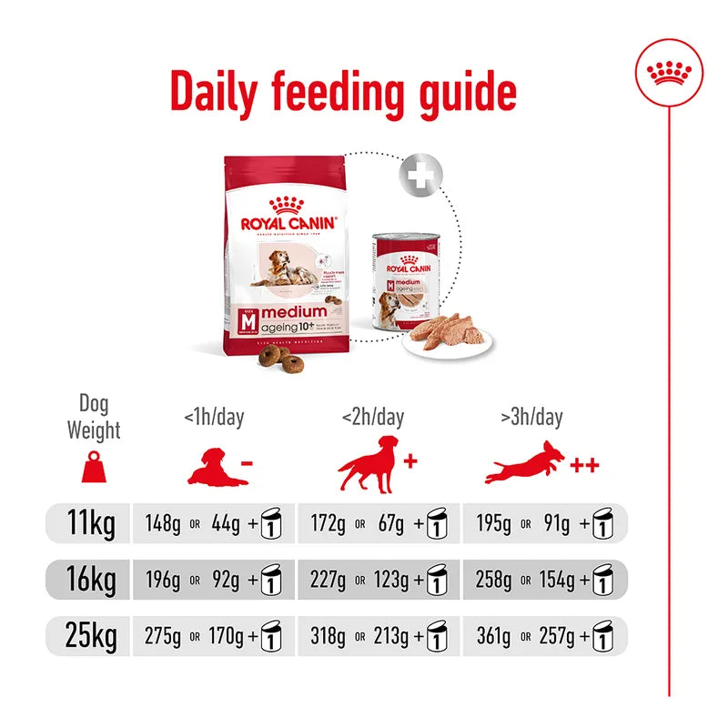 Royal Canin daily feeding guide for medium-aged dogs on a white background
