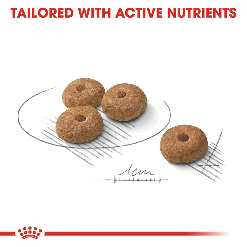Dog treats on a white background with text about active nutrients and a Royal Canin logo.