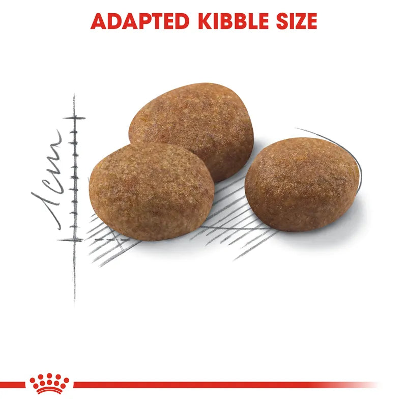 Three dog kibble pieces with a measurement scale and Royal Canin logo on a white background.