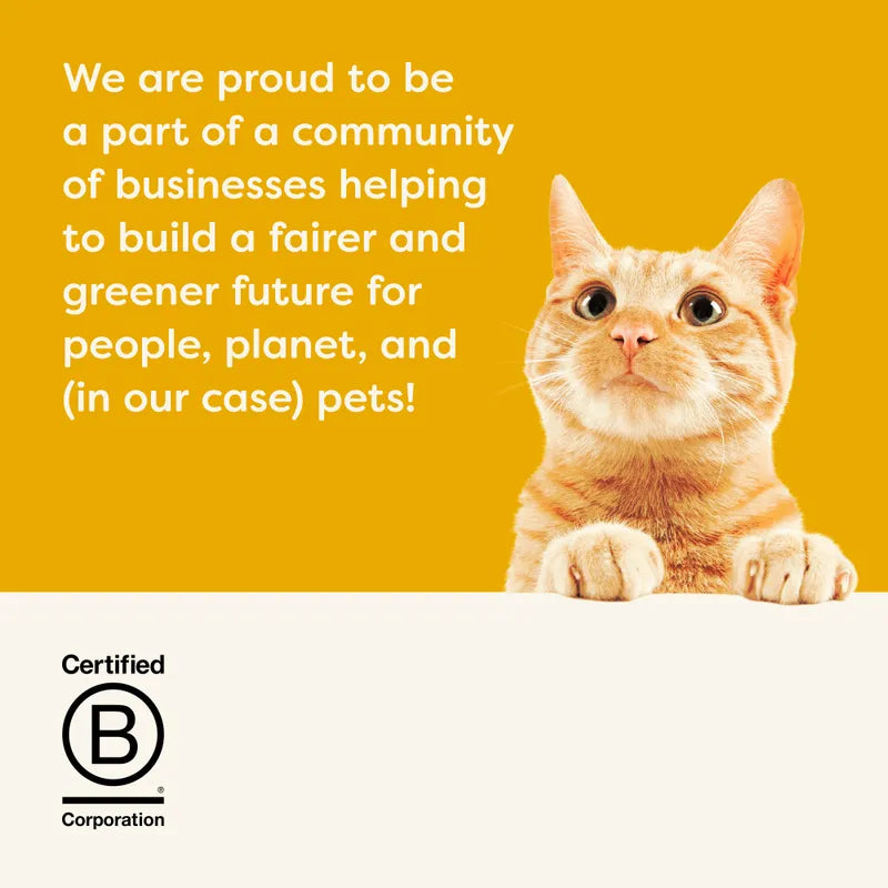 Cat peeking over a white surface with text about being a part of a community of businesses for a fairer and greener future, on a yellow background.
