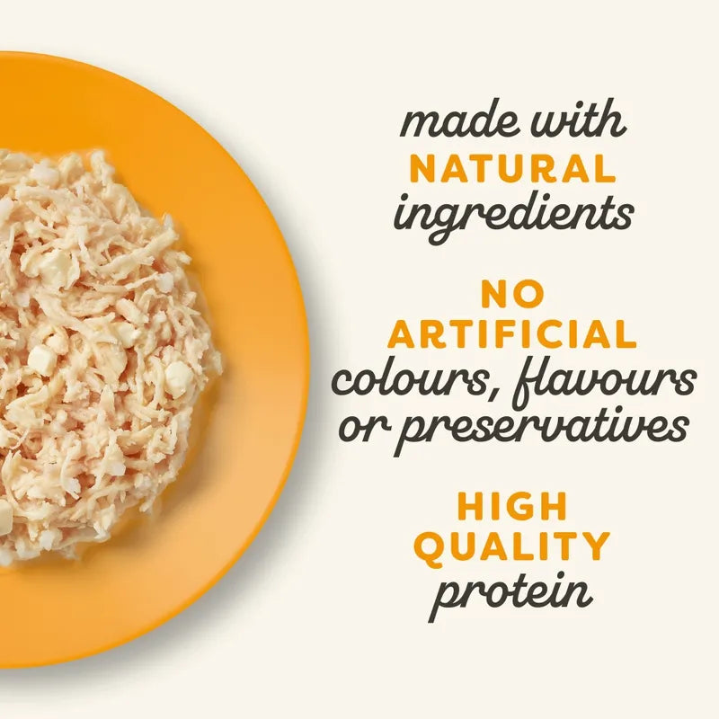 Hydrating broth cat food serving