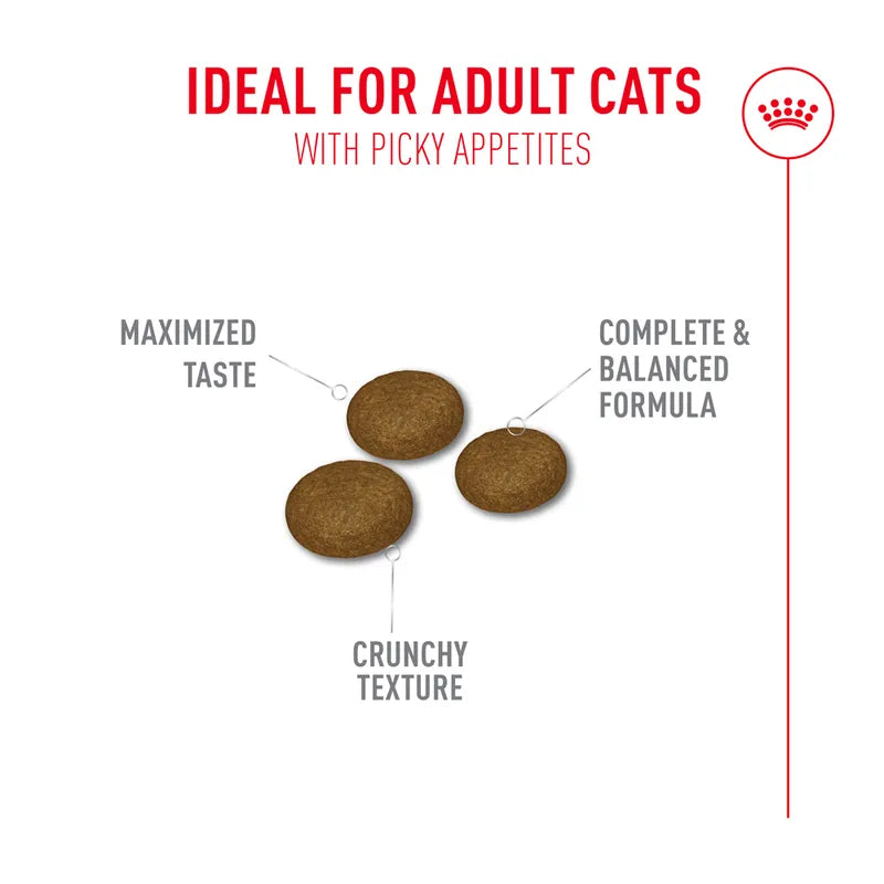 Cat treats with text highlighting features for adult cats with picky appetites on a white background.