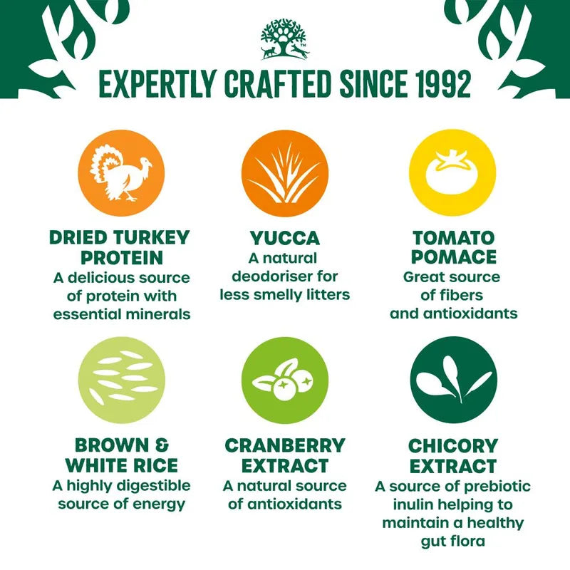 Grain-free turkey protein dry food for older cats