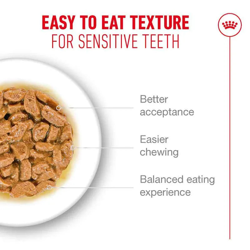 Cat food with text highlighting easy-to-eat texture for sensitive teeth
