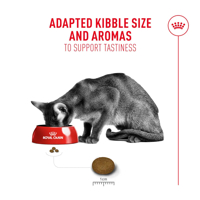 Cat eating from a Royal Canin bowl with text about adapted kibble size and aromas.
