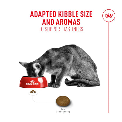 Cat eating from a Royal Canin bowl with text about adapted kibble size and aromas.