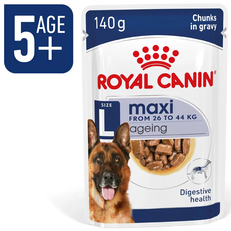 Royal Canin maxi ageing dog food package on a white background