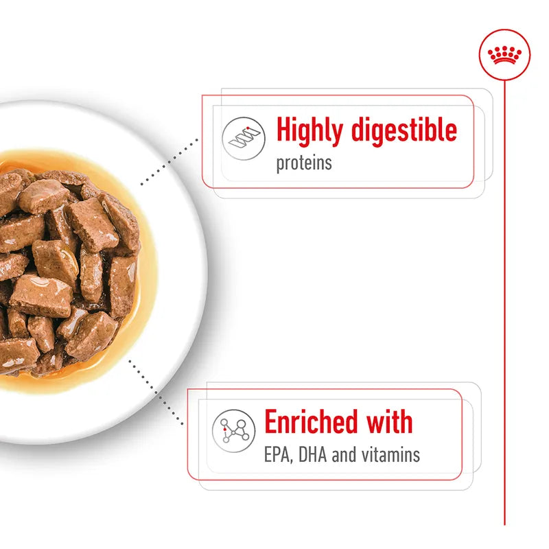 Dog food bowl with text highlighting 'Highly digestible proteins' and 'Enriched with EPA, DHA and vitamins'.