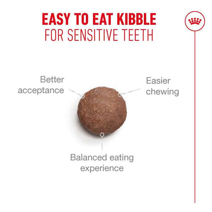 Kibble for sensitive teeth with text on a white background