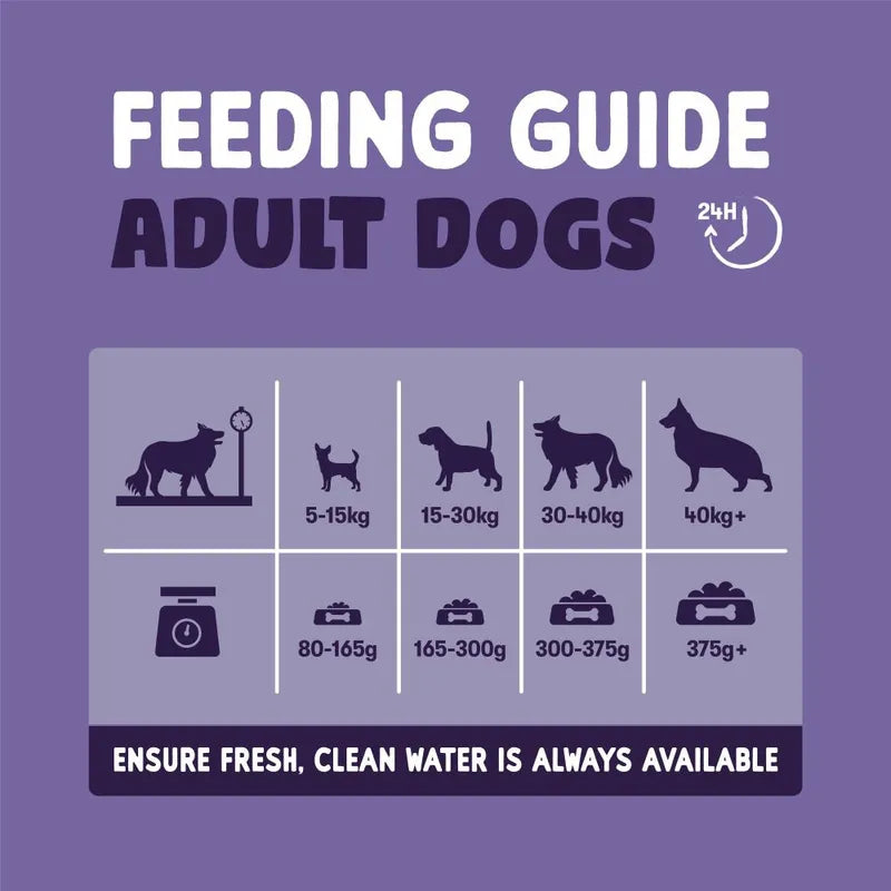 Feeding guide for adult dogs on a purple background
