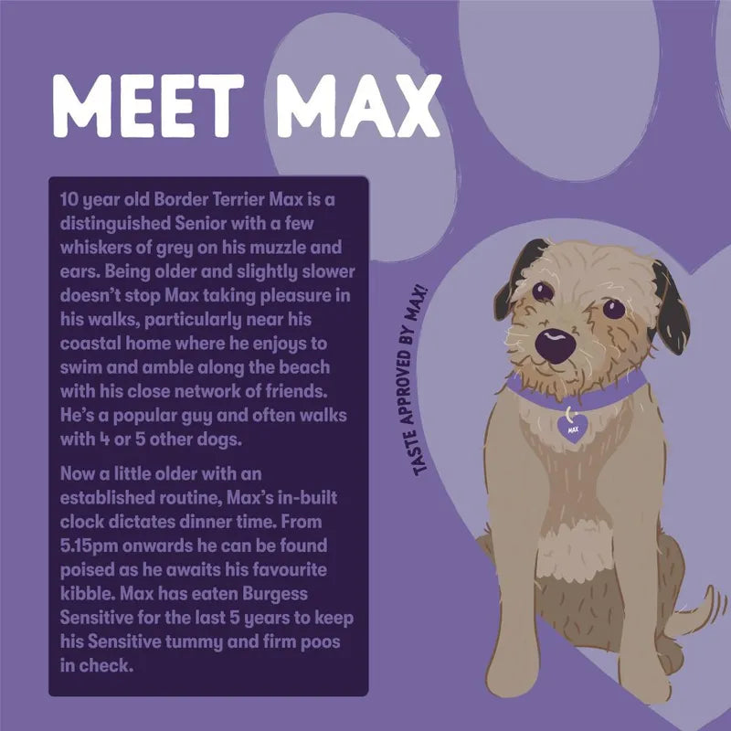 Illustration of a dog named Max on a purple background with text about him.