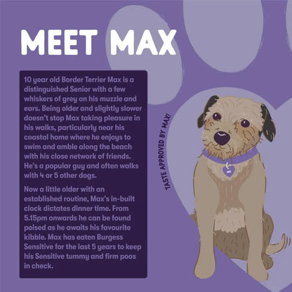 Illustration of a dog named Max on a purple background with text about him.
