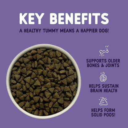 Dog food bowl with text highlighting key benefits on a purple background