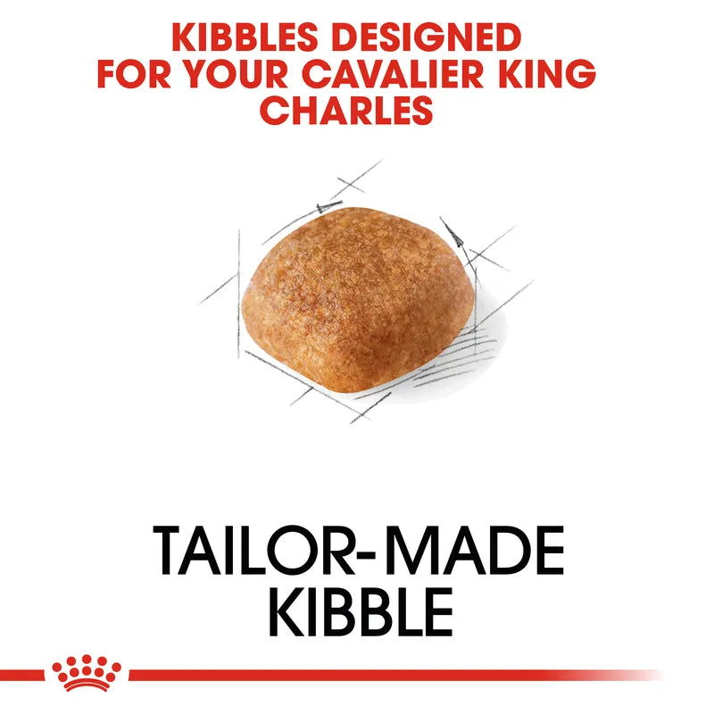 Cat food kibble with text about Cavalier King Charles breed suitability on a white background