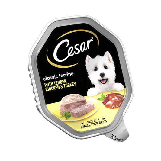 Soft pâté chicken turkey dog food
