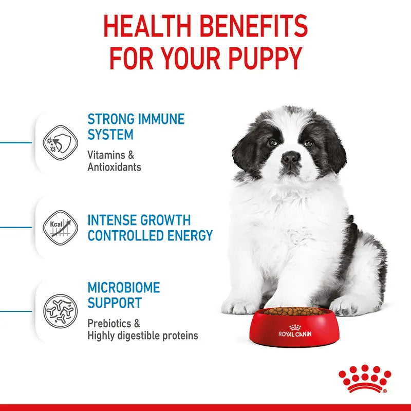 Puppy sitting next to a red bowl with health benefits text on a white background