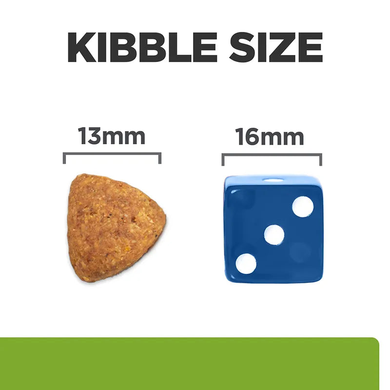 Comparison of kibble size to a blue die showing 13mm and 16mm dimensions.
