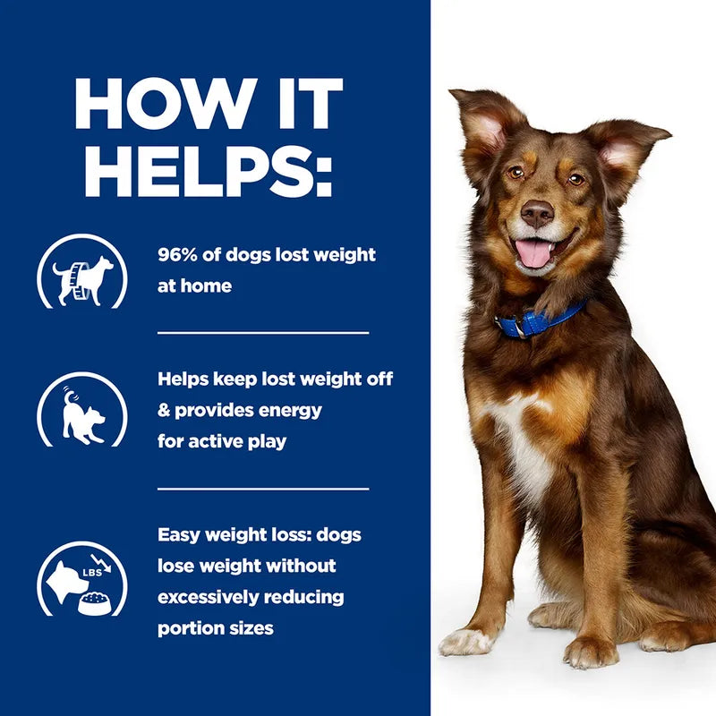 Dog wearing a blue collar with text on how it helps weight loss on a white background