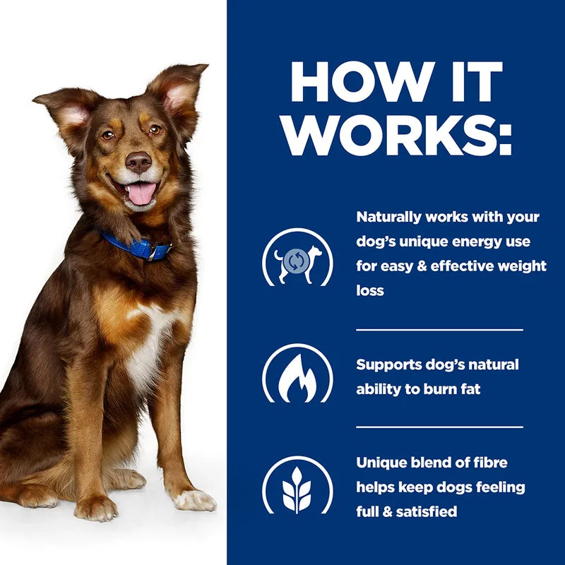 Dog with a blue collar on a white background, next to text about weight loss and energy support.