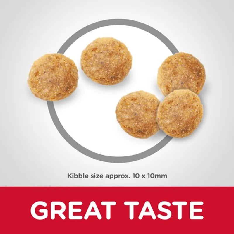Dog kibble with a circle around it on a gray background, labeled 'Great Taste'.