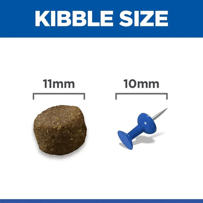 Kibble size comparison with a 11mm measurement and a blue pushpin for scale on a white background.