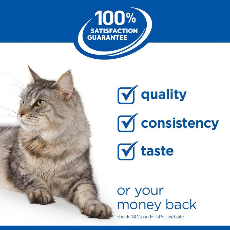 Dry cat food for 11+ years