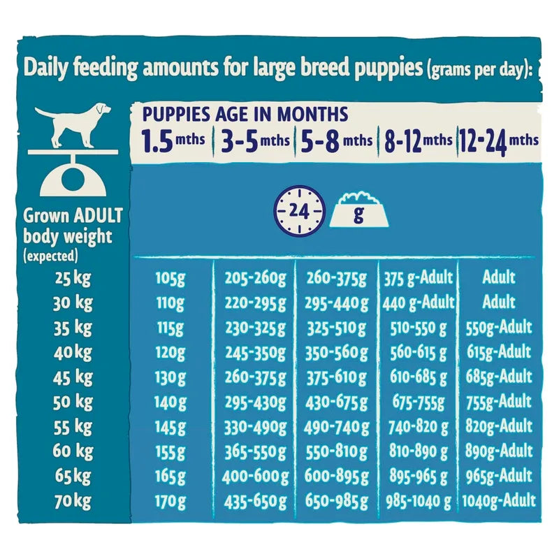 Feeding chart for large breed puppies with daily feeding amounts based on age and body weight.