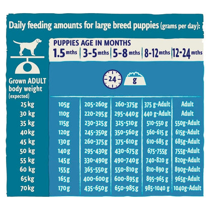 Feeding chart for large breed puppies with daily feeding amounts based on age and body weight.